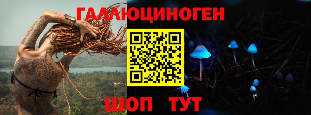 Псилоцибиновые грибы мухоморы Великий Устюг